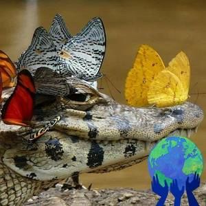 Meet your Posher, Judith